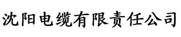 亚洲欧洲一区三区四区电缆厂logo